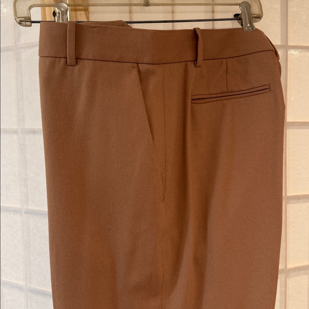 Everlane Women’s Camel Dress Pants Size 10. Wool and Cashmere Blend.